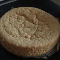 Rosé Sekttorte 