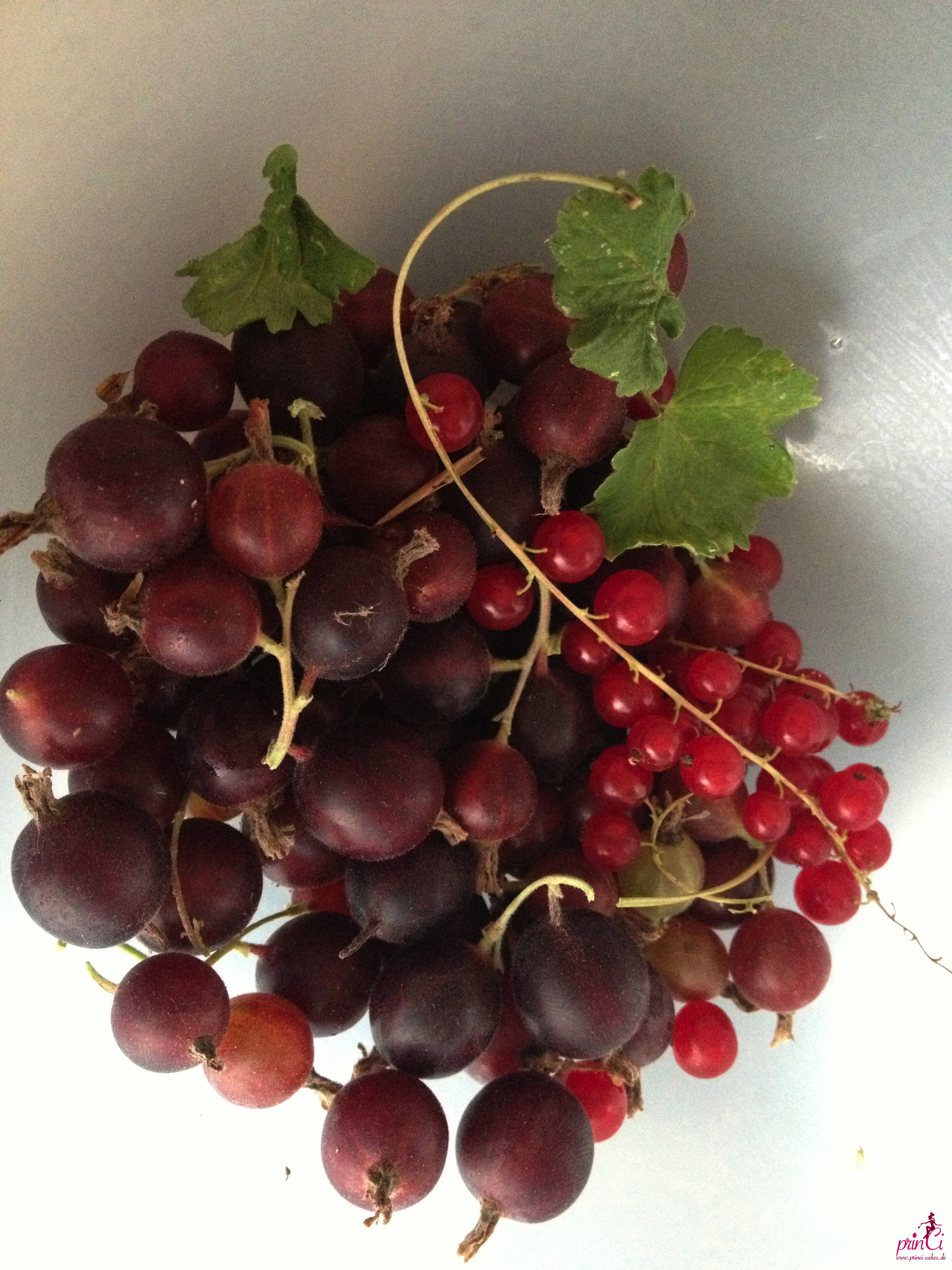 BackWahn: Stachelbeer Crumble mit Johannisbeeren (Streuselkuchen ... BackWahn: Stachelbeer Crumble mit Johannisbeeren (Streuselkuchen ...